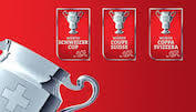 Cupfinal: Basel trifft auf Sion