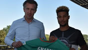 Gnabry: So sollen die Bayern involviert sein