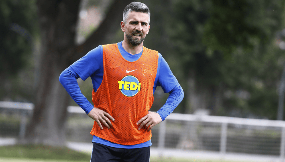 Überraschung: Schalke engagiert wohl Ibisevic