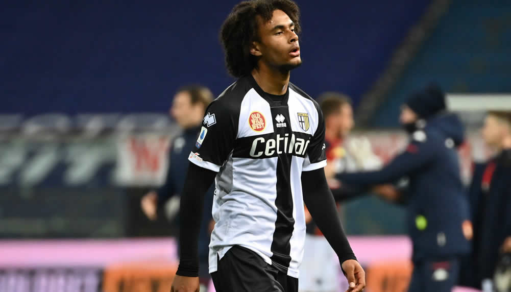 Parma übernimmt Bayern-Stürmer Joshua Zirkzee nicht