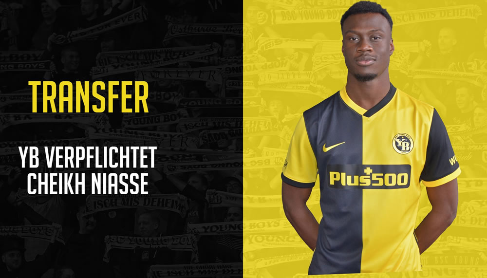 Perfekt: YB angelt sich Mittelfeldspieler Cheikh Niasse