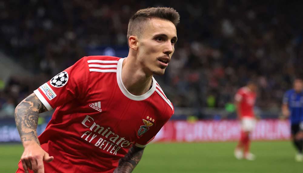 Transfer-Coup: Leverkusen verpflichtet ablösefreien Grimaldo