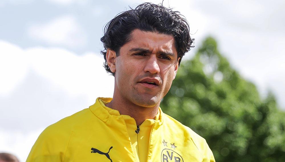 Brighton-Trainer über Dahoud-Transfer: «Würde sehr gerne mit ihm zusammenarbeiten»