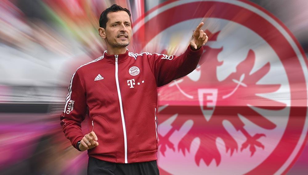 Offiziell: Eintracht Frankfurt holt Toppmöller als Glasner-Nachfolger