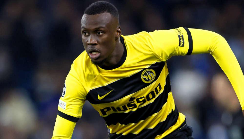 YB-Profi Cheikh Niasse weckt grosses Interesse in Topligen