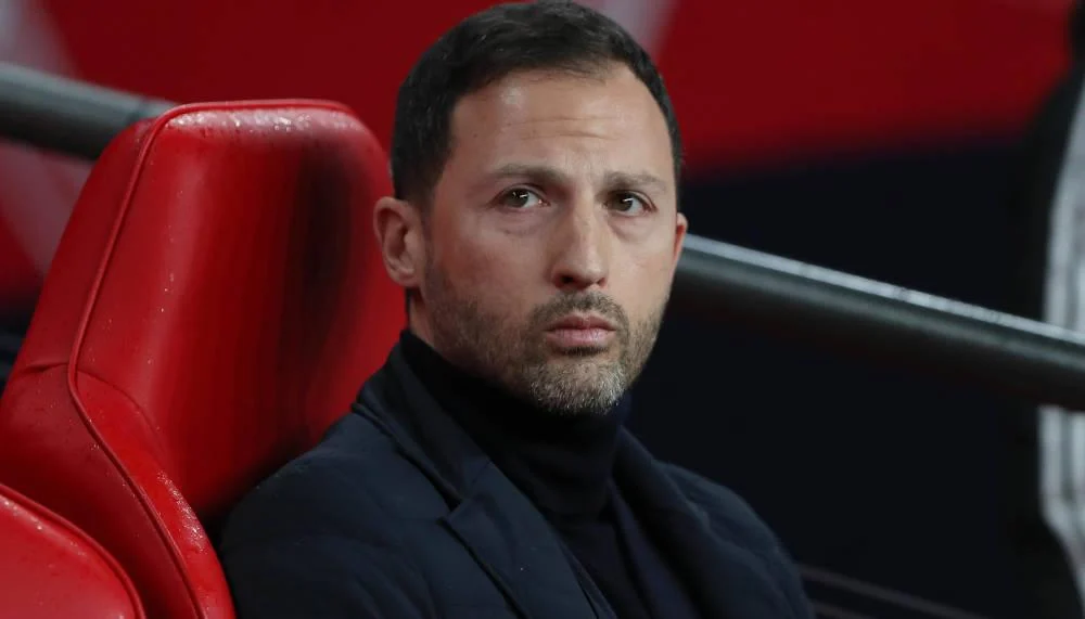 Belgischer Verband sucht bereits Nachfolger für Domenico Tedesco