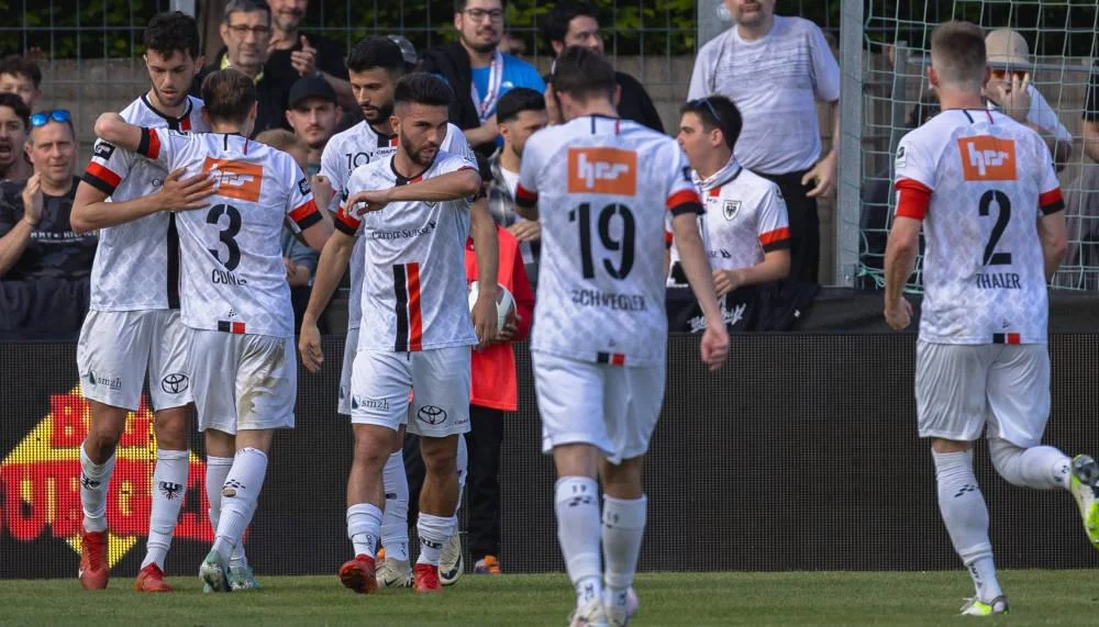 Der FC Aarau geht eine Kooperation mit Schalke 04 ein