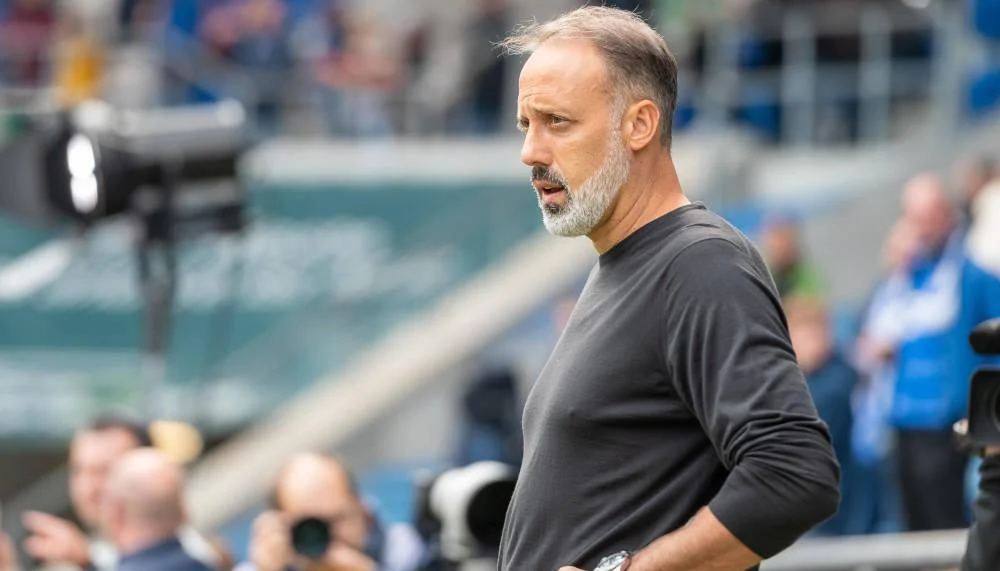 Hoffenheim-Coach Pellegrino Matarazzo hat keine Angst vor Rauswurf