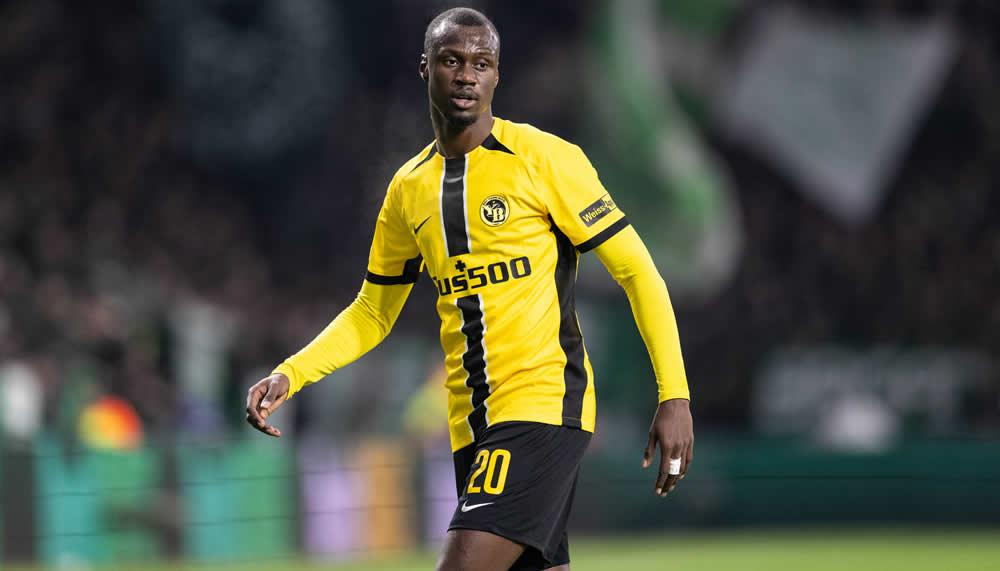 Exklusiv: Hellas Verona gibt Angebot für YB-Profi Cheikh Niasse ab