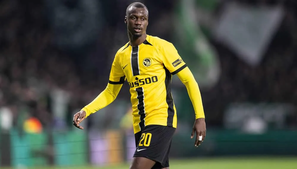 Exklusiv: Hellas Verona gibt Angebot für YB-Profi Cheikh Niasse ab