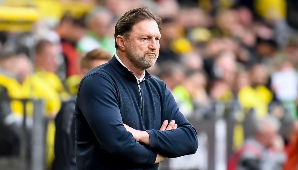 Hasenhüttl droht sofortiges Aus beim VfL Wolfsburg