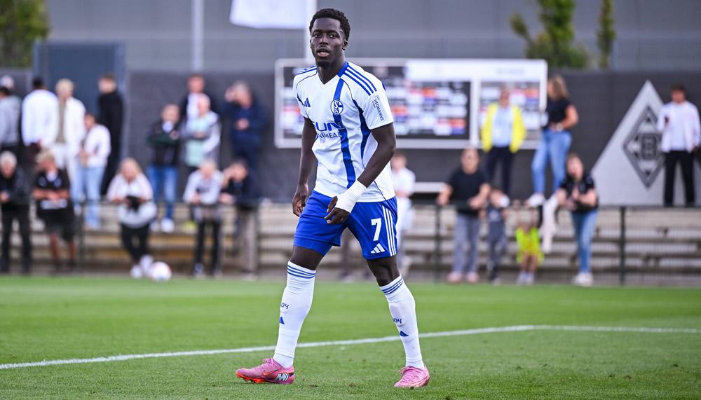 Schalke-Trainer gleich Feuer und Flamme für Christian Gomis
